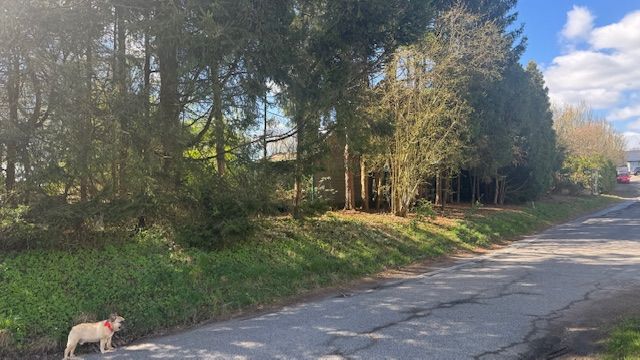 Provisionsfrei* Exklusives Baugrundstück in Toplage - uneinsehbar, familienfreundlich & mit 40km-Fernblick - Grundstück Kürten | Angebot:22630584