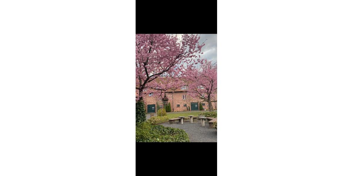 Terrassenwohnung Köln Chorweiler - 2 Zimmer, 63 m&sup2;, 310.000&euro; | Angebot:27446962