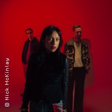 Telenova - The Warning Tour 14.10.2026 Privatclub