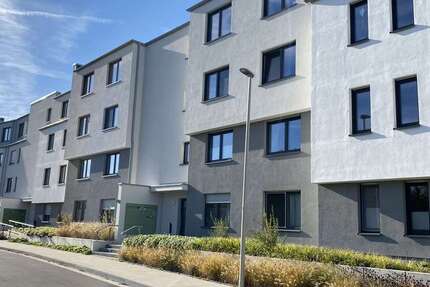 Wohnung Bonn Vilich-Rheindorf - 2.5 Zimmer, 116 m&sup2;, 1.340&euro; | Angebot:26645792