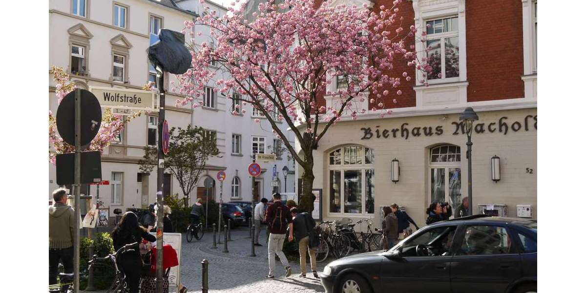 Etagenwohnung Bonn Nordstadt - 4 Zimmer, 121 m&sup2;, 585.000&euro; | Angebot:27266364