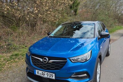 Opel Grandland (X) 105.700 km 16.800 &euro; Köln 50939
