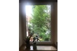 Etagenwohnung Köln Innenstadt - 6 Zimmer, 155 m&sup2;, 745.000&euro; | Angebot:27189512
