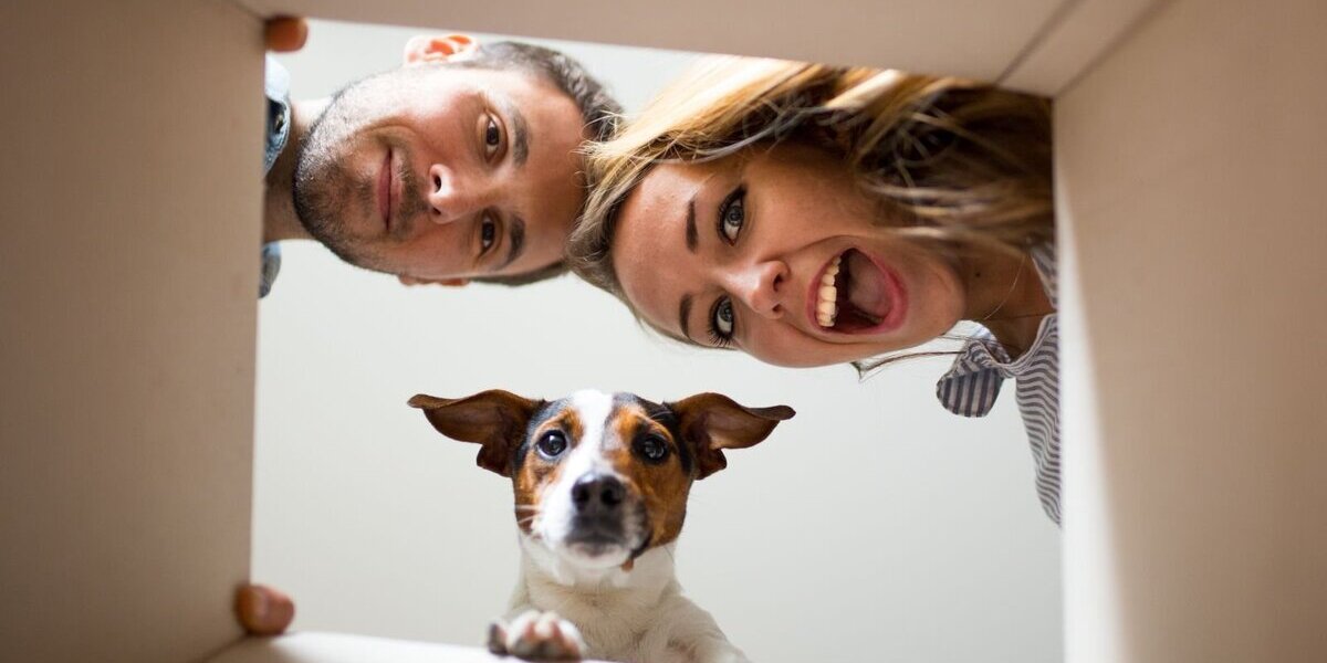 Individuelles Traumhaus in Köln - Flexibel geplant, effizient gebaut - Einfamilienhaus Köln Kalk | Angebot:27469308