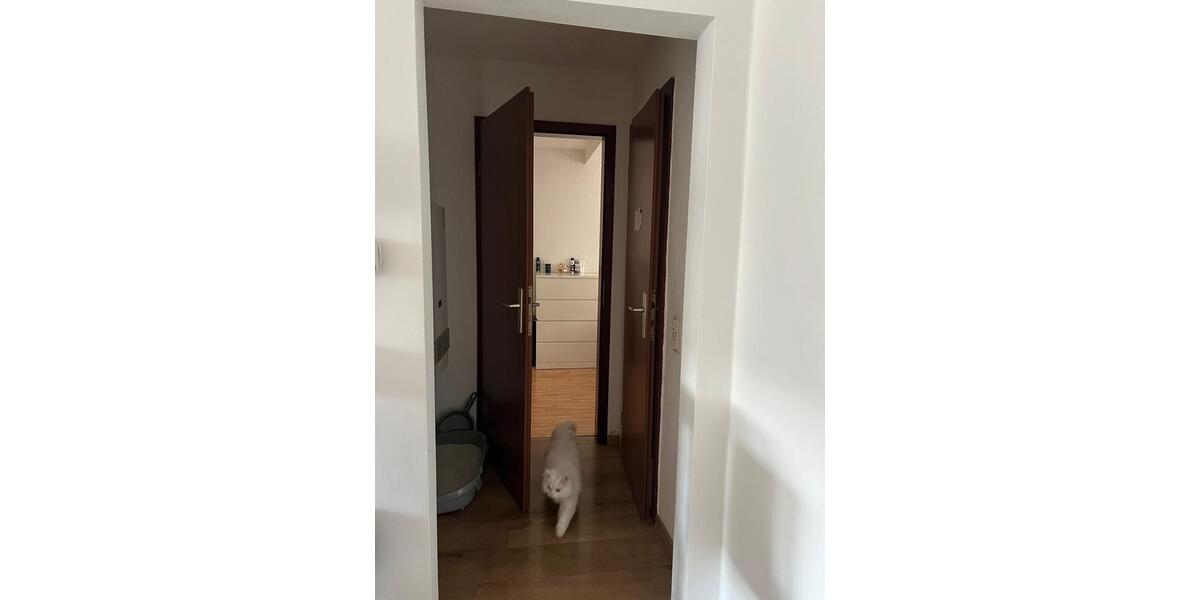 Maisonettenwohnung Köln Mülheim - 3 Zimmer, 56 m&sup2;, 350.000&euro; | Angebot:27501049