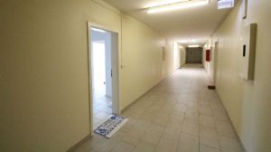 ** F E R N B L I C K ** GROSSZÜGIGE 2-ZIMMER-BALKON-WOHNUNG IN SANKT AUGUSTIN NIEDERPLEIS - 2- Sankt Augustin | Angebot:27476600