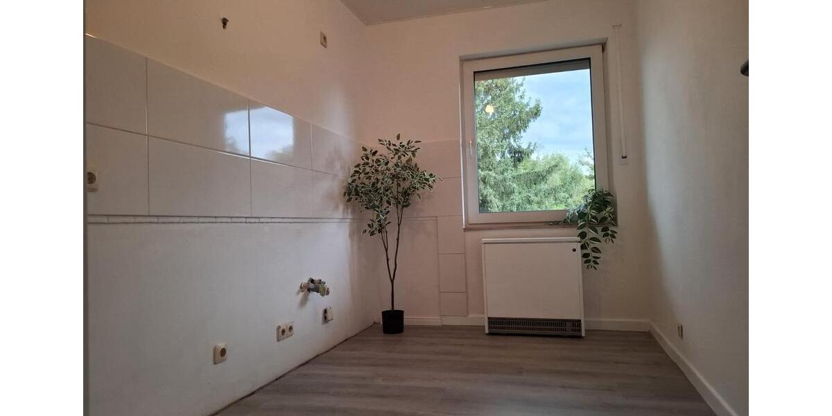 Etagenwohnung Bergisch Gladbach Paffrath - 2 Zimmer, 66 m&sup2;, 210.000&euro; | Angebot:27462947