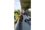 Etagenwohnung Köln Lindenthal - 3 Zimmer, 89 m&sup2;, 319.000&euro; | Angebot:27413698