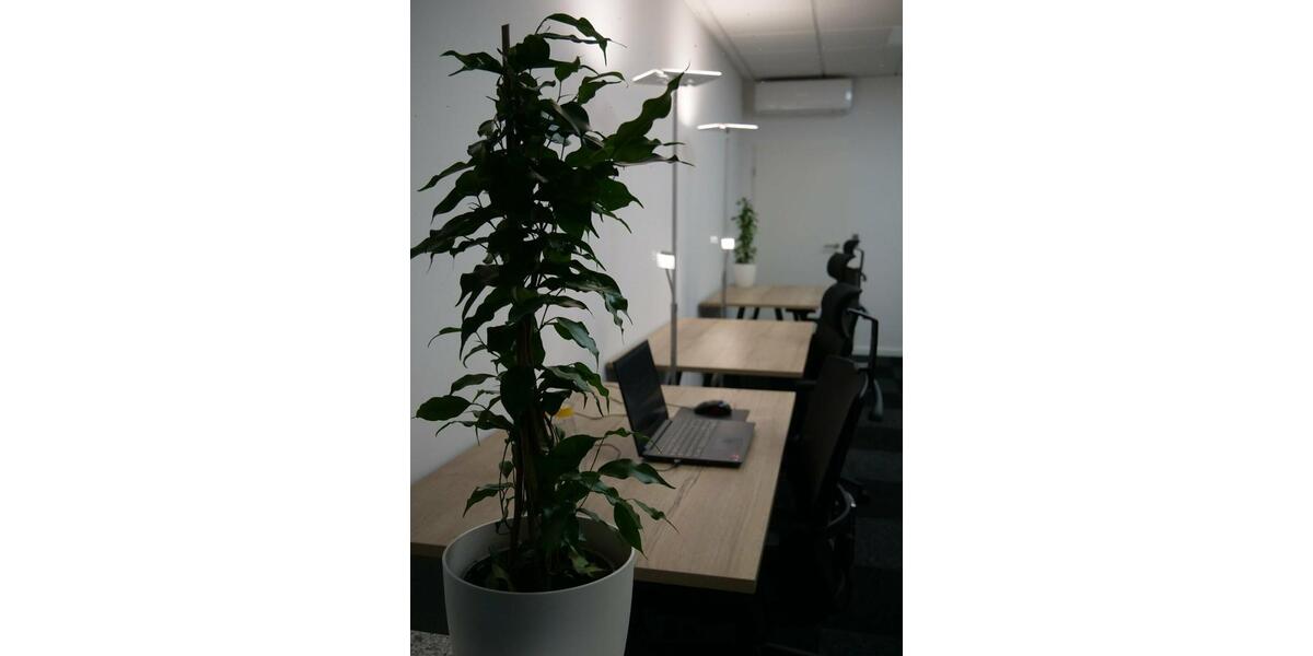 Gewerbeobjekt Köln Innenstadt - 229&euro; | Angebot:9788131