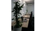 Gewerbeobjekt Köln Innenstadt - 229&euro; | Angebot:9788131