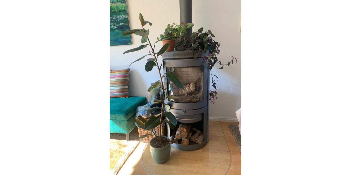 Doppelhaushälfte Siegburg - 5 Zimmer, 160 m&sup2;, 699.000&euro; | Angebot:27417148