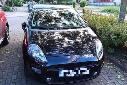 Fiat Punto 72.000 km 7.500 &euro; Frechen 50226