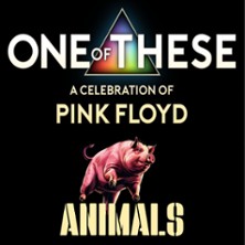 One Of These – A celebration of Pink Floyd / Animals Tour 27.11.2026 Groove Bar