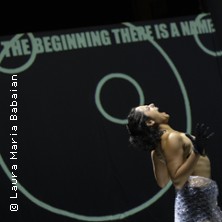 BRAIN STORM _ STURM IM KOPF - fringe ensemble 09.10.2026 Theater im Ballsaal