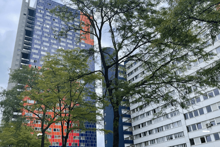 Wohnung Köln Neuehrenfeld - 1 Zimmer, 27 m&sup2;, 85.000&euro; | Angebot:27091891